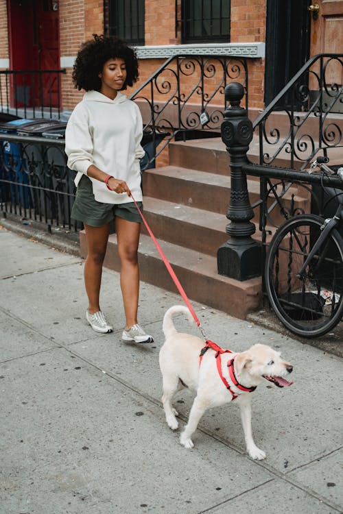 Free Calm black woman walking with dog on street Stock Photo