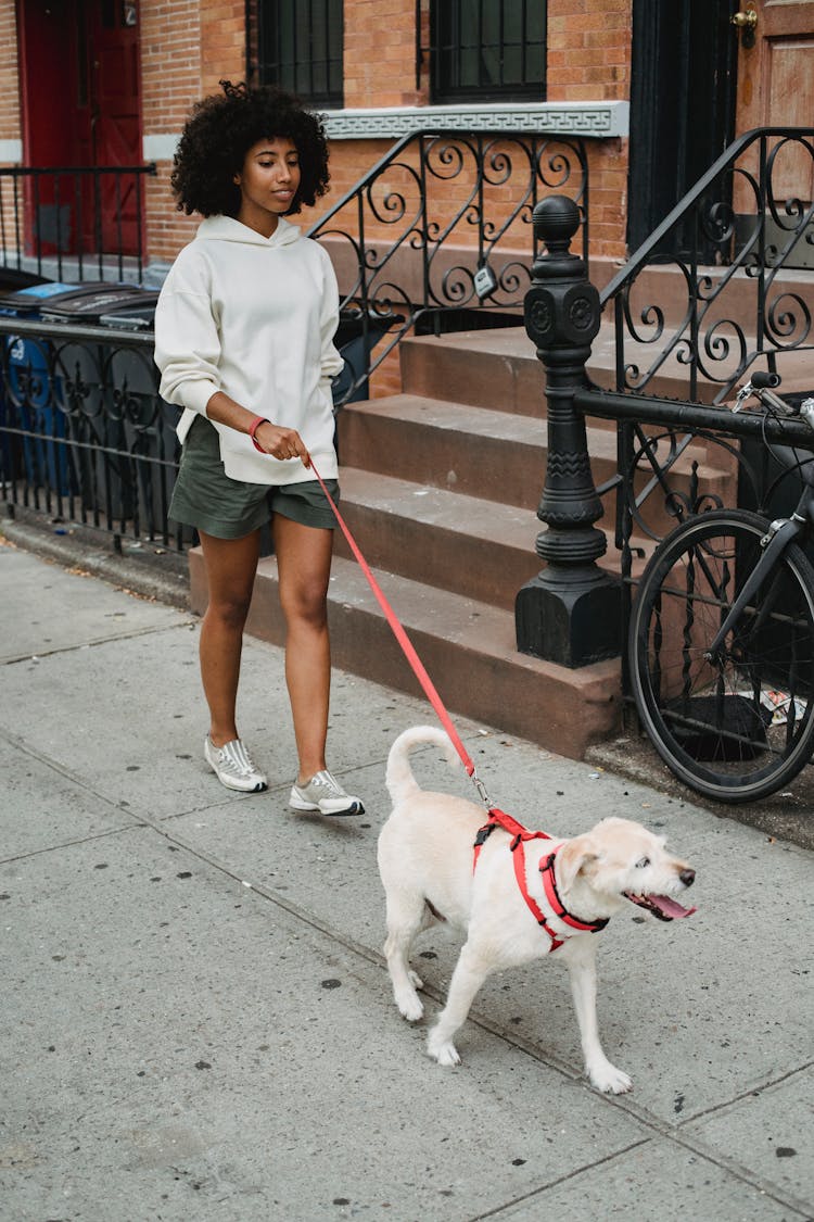 Calm Black Woman Walking With Dog On Street