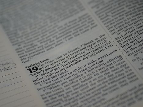 Text