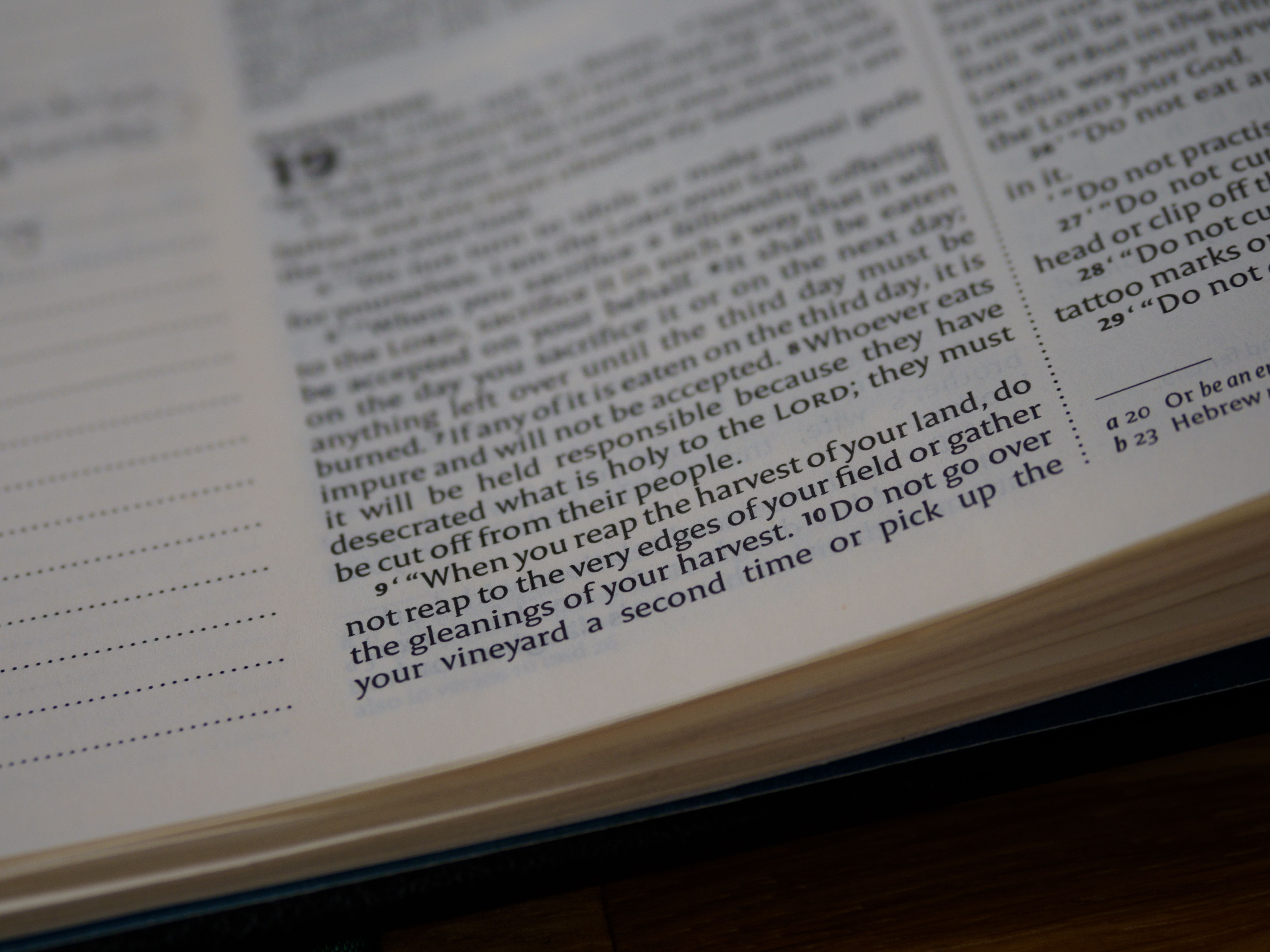 Old Testament Photos, Download The BEST Free Old Testament Stock Photos ...