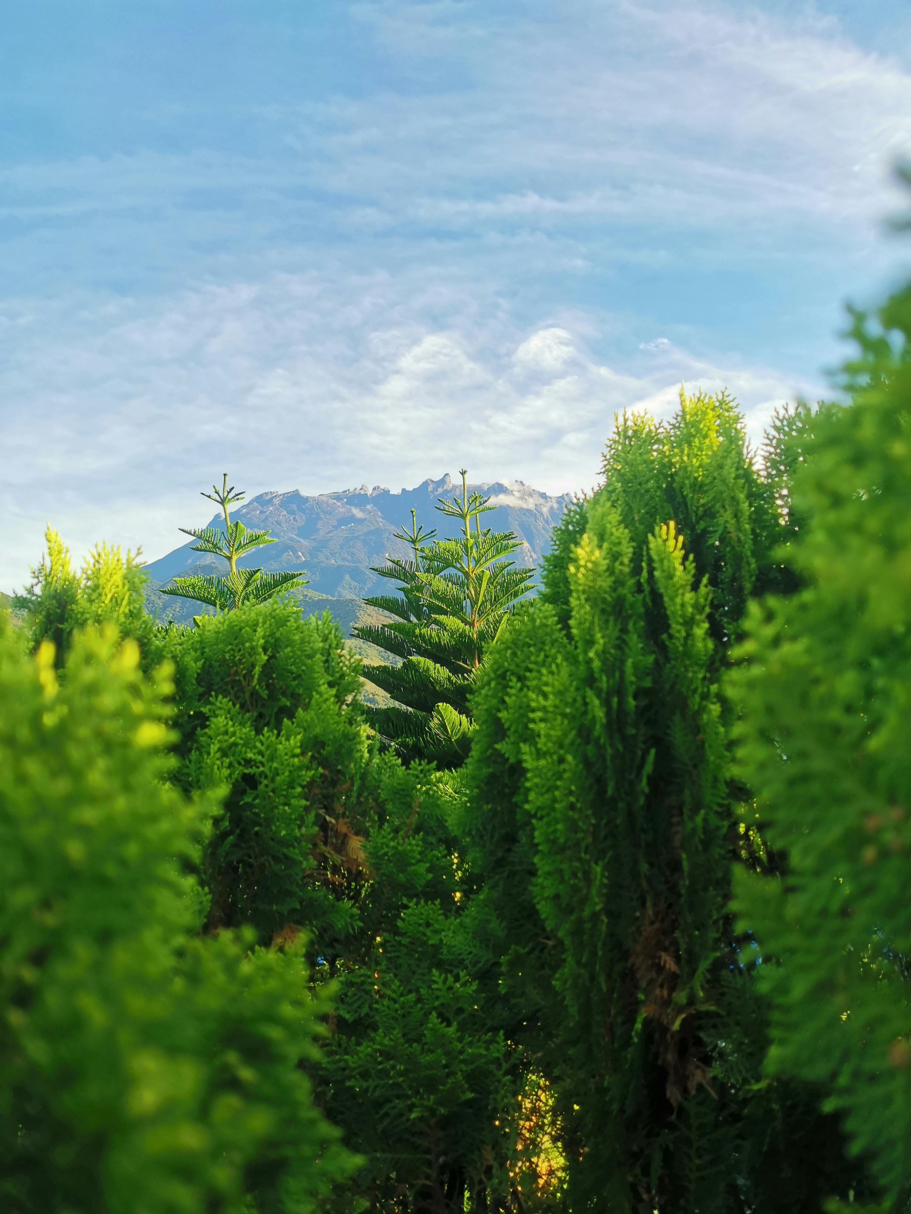 소파에 앉아 대화하는 부부