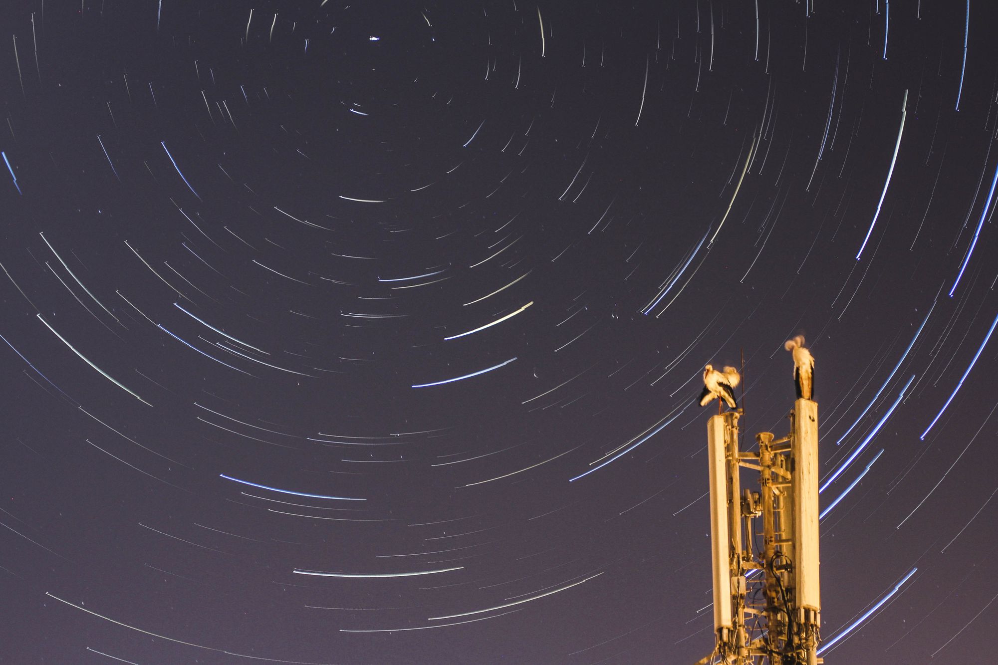 Star trails creating a circular pattern over a communication tower at night.