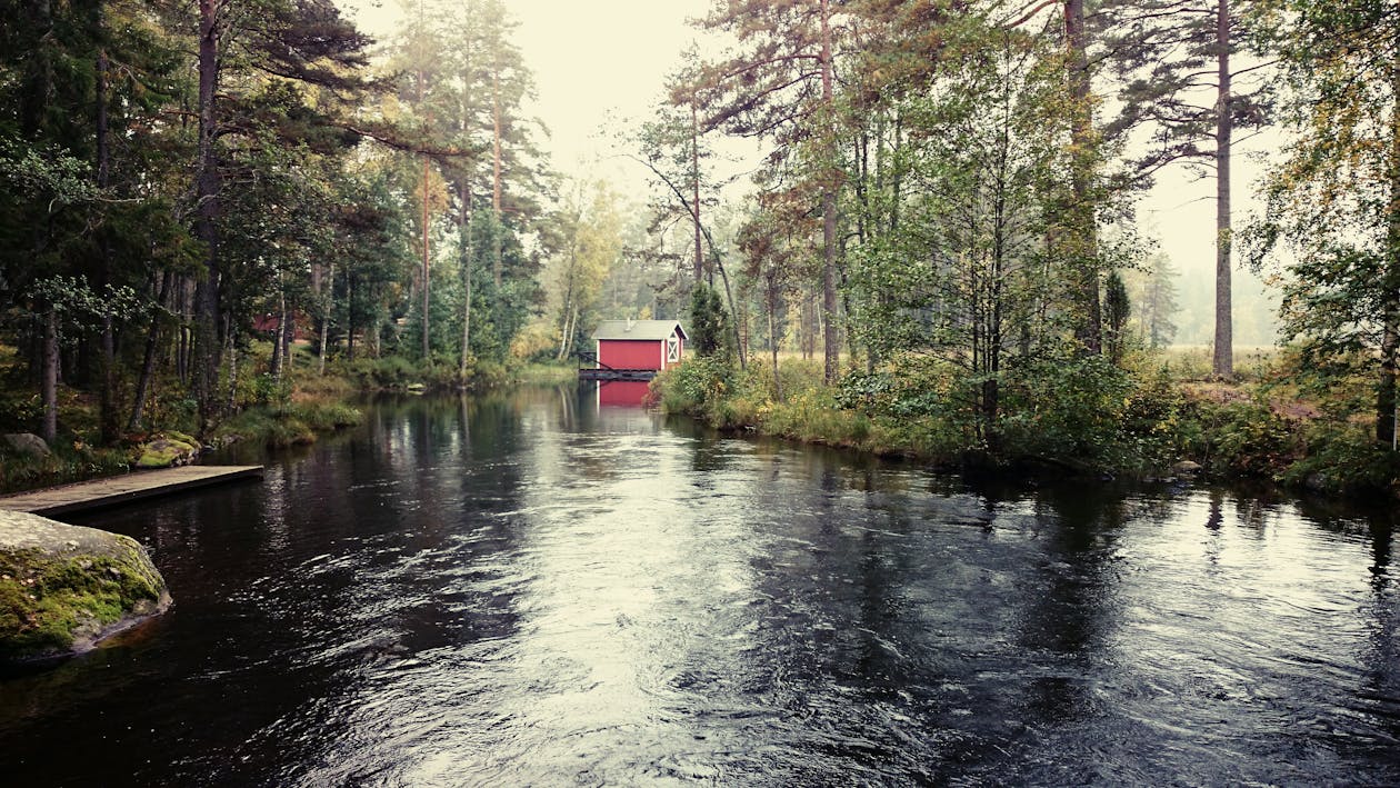 Free stock photo of pond, warehouse