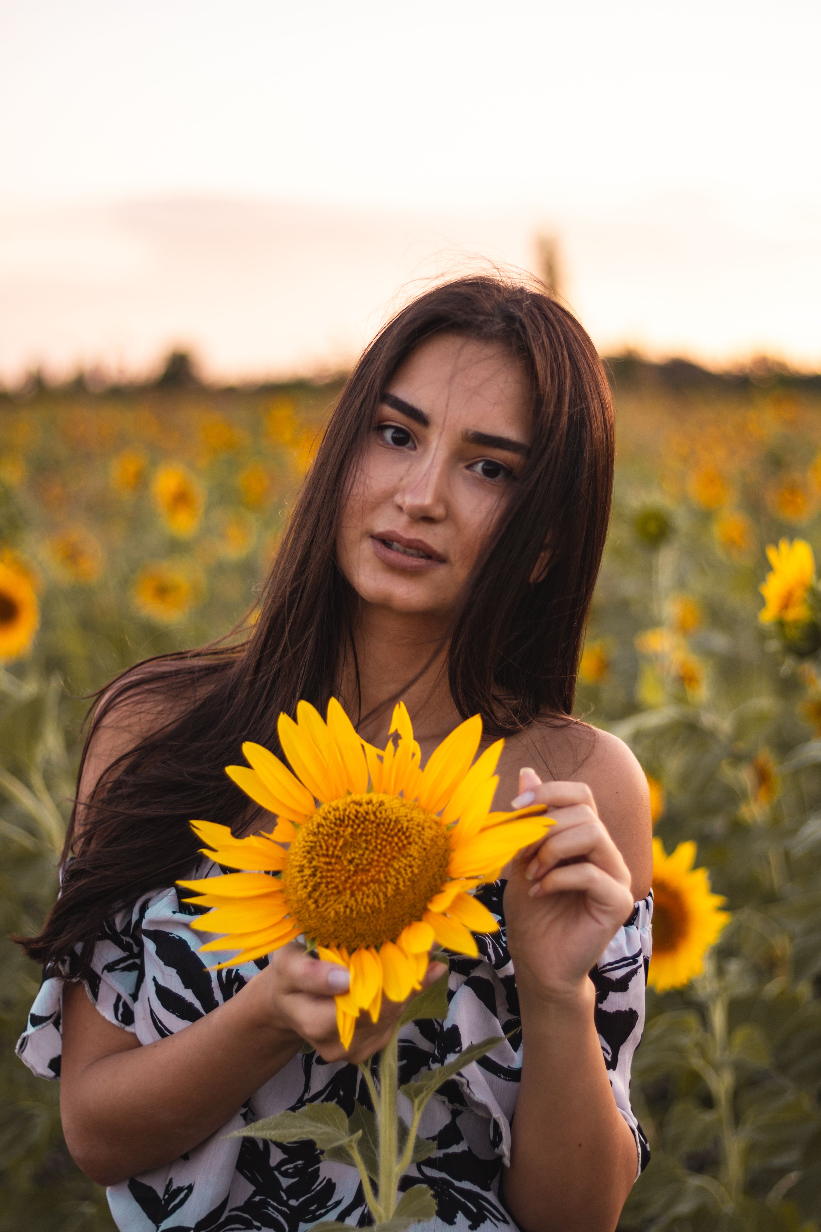 A Woman Holding a Sunflower · Free Stock Photo