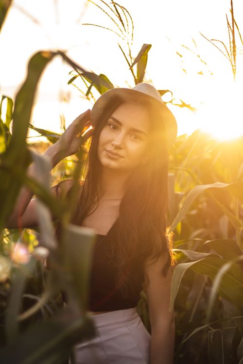Free Young woman with a hat stands amidst cornfield, illuminated by the warm sunset glow. Stock Photo