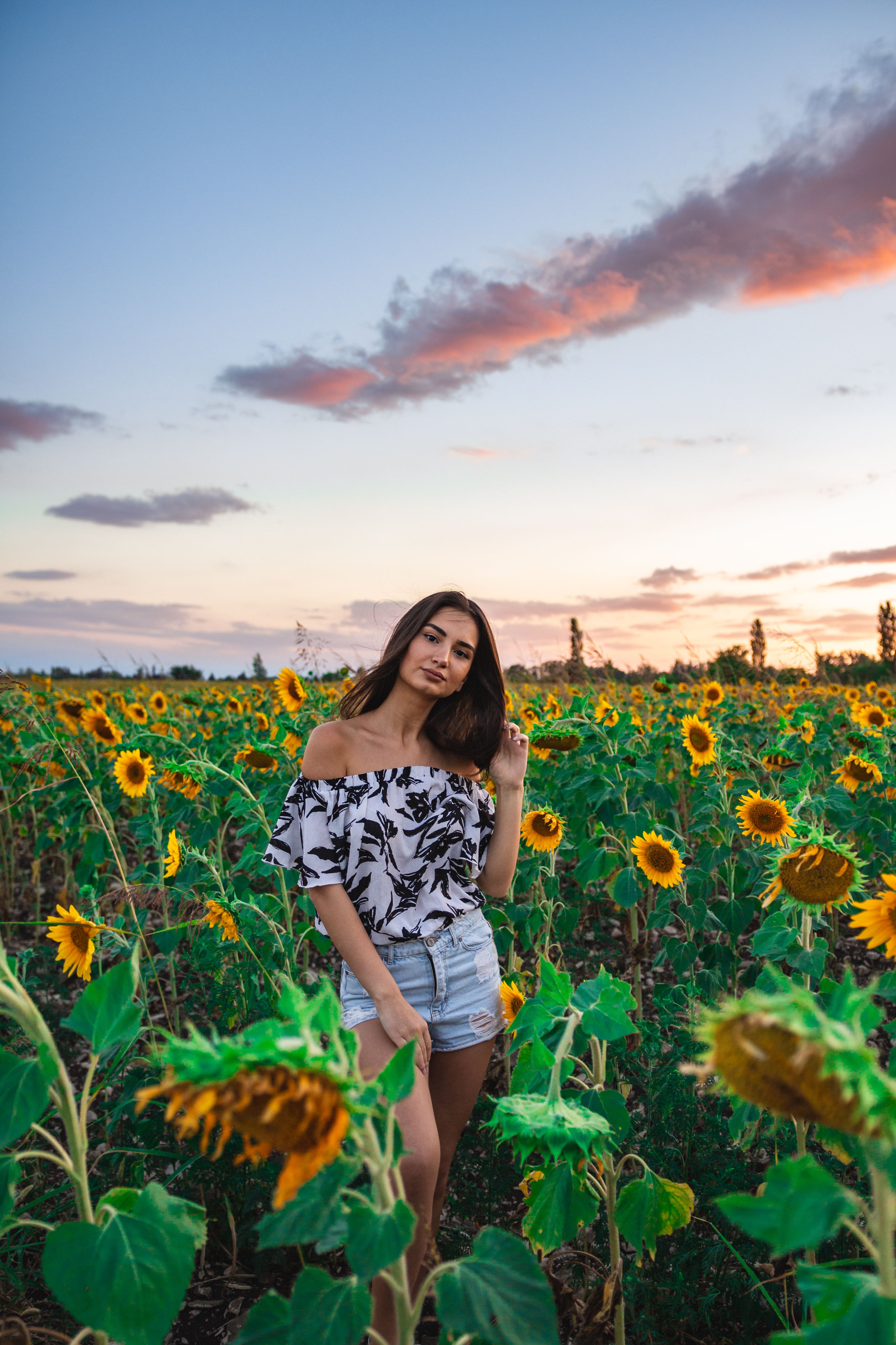 Woman in a Sunflower Field · Free Stock Photo