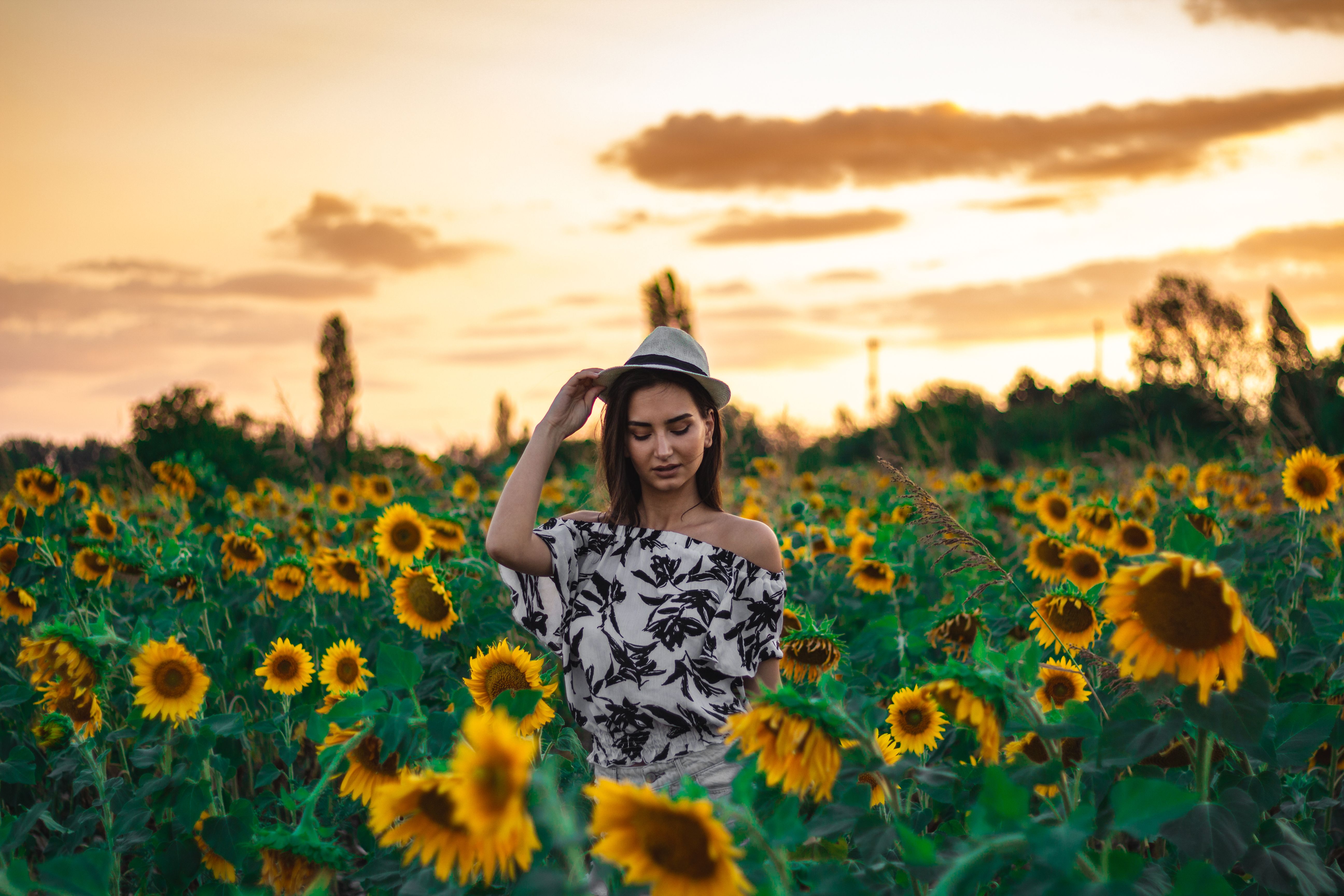 A Woman in a Sunflower Field · Free Stock Photo