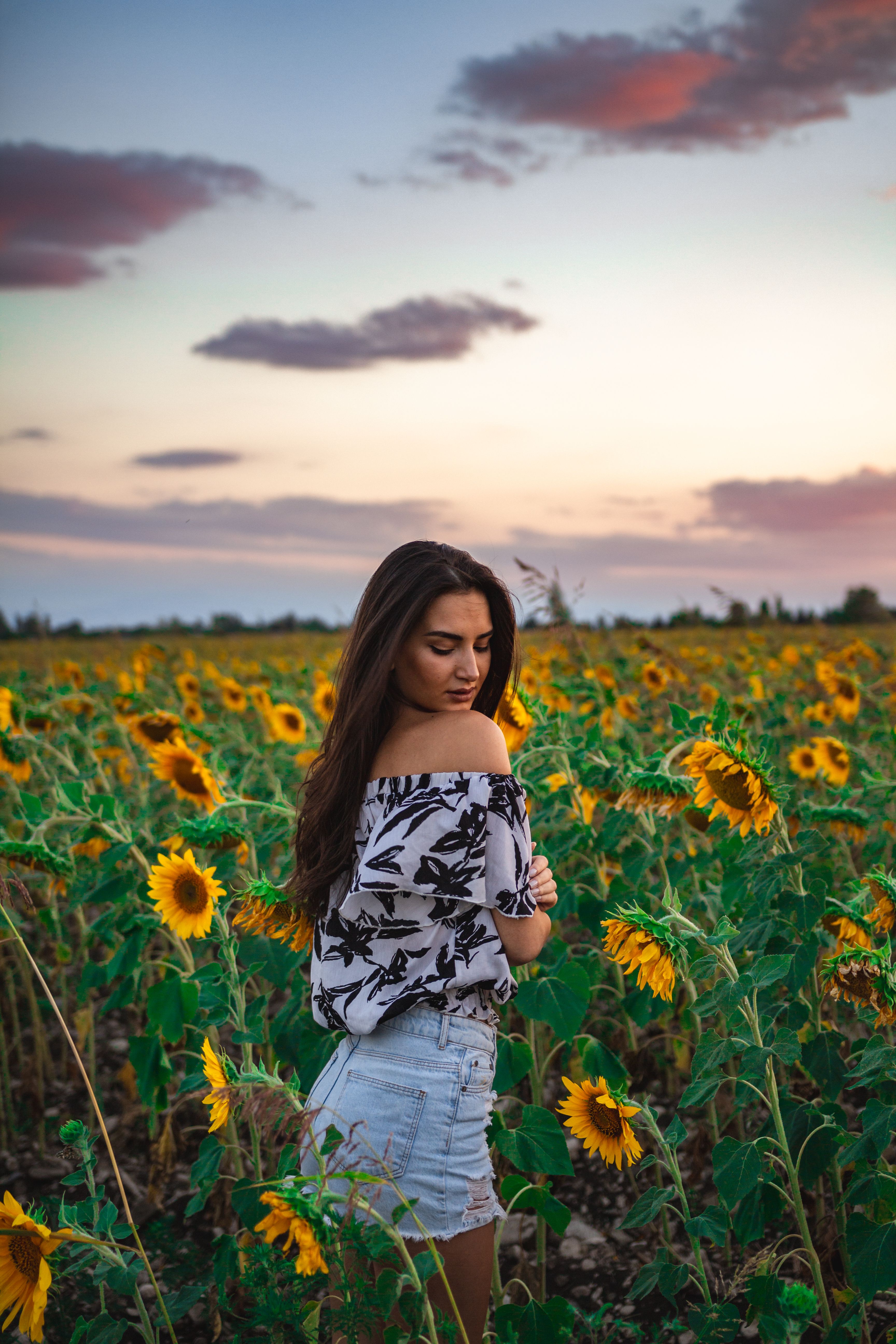 Woman in Denim Jacket Standing in a Sunflower Field · Free Stock Photo