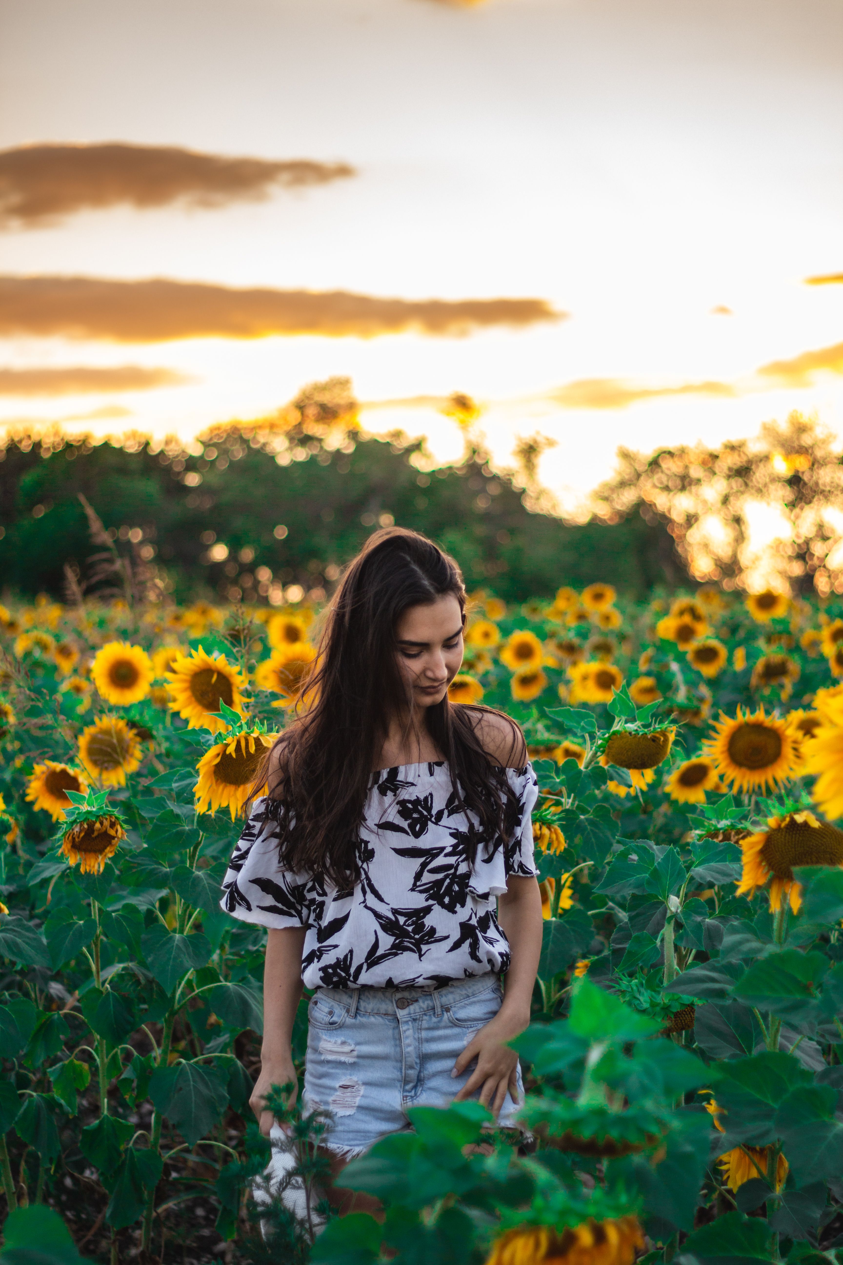 Blusa Ciganinha Floral Verde