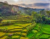 Green Grass Field Under Cloudy Sky