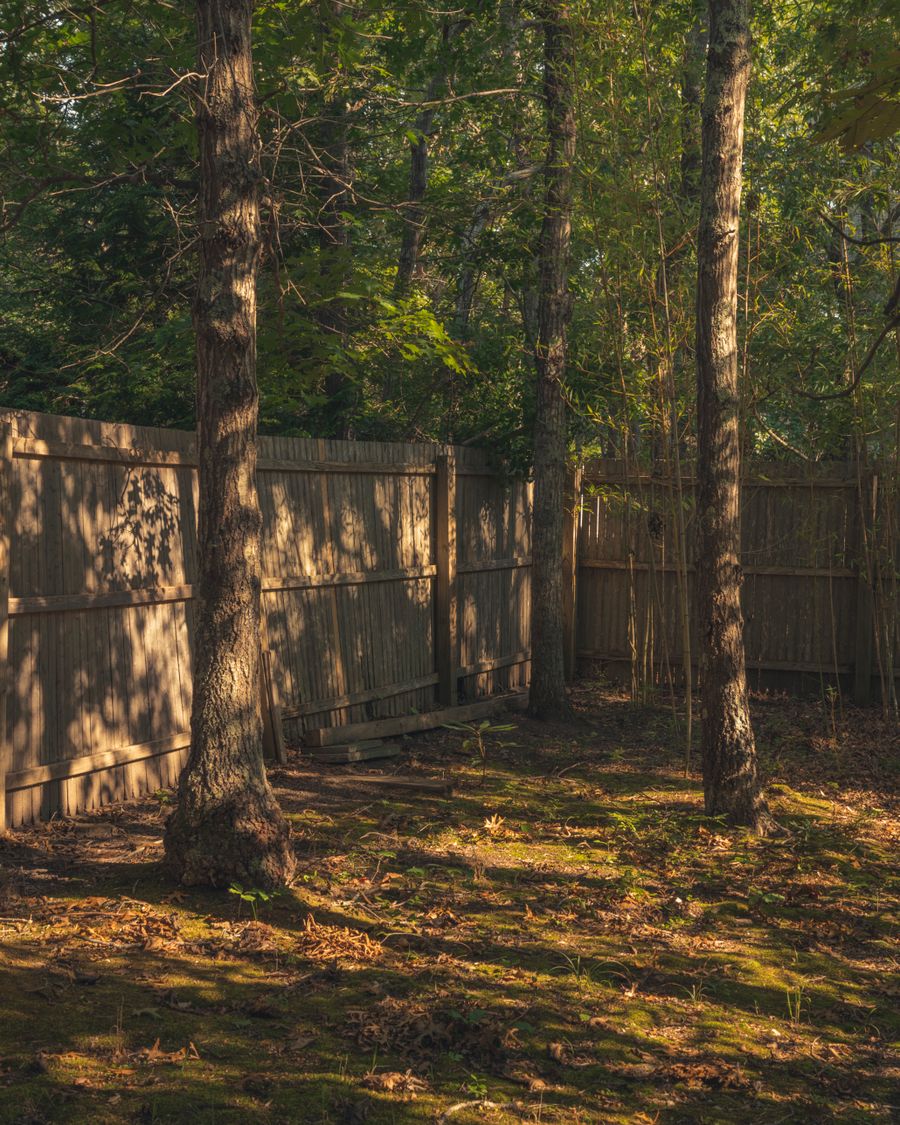 Backyard wooden fence in dappled sunlight