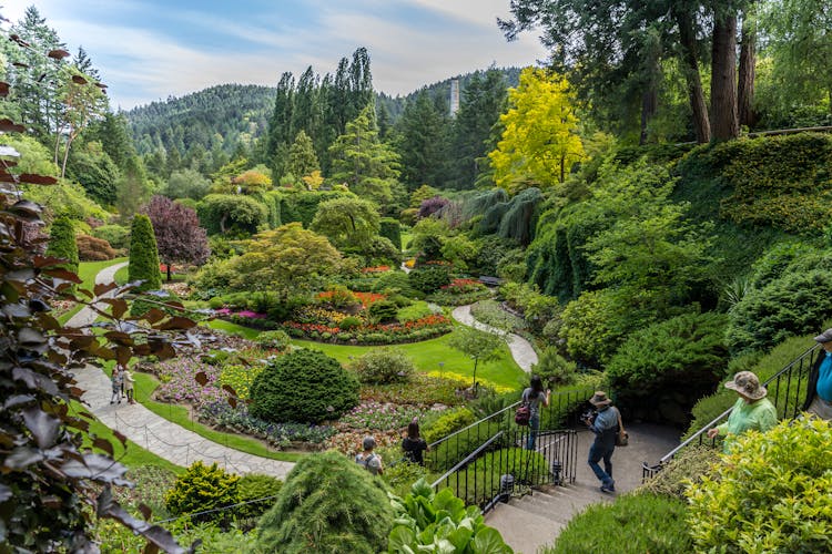 People At The Butchart Gardens In British Columbia 