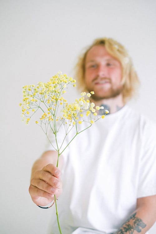 Fotobanka s bezplatnými fotkami na tému aróma, aromatický, biela blúzka