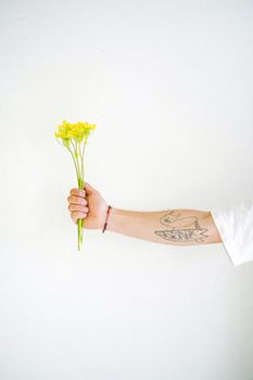 一位纹身匿名人士在灰色背景下展示一束新鲜的黄色花朵