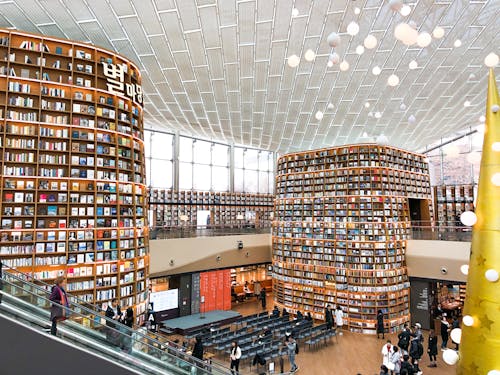 People Inside the Huge Library