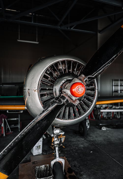 Foto d'estoc gratuïta de aeròdrom, aerolínia, aeroport