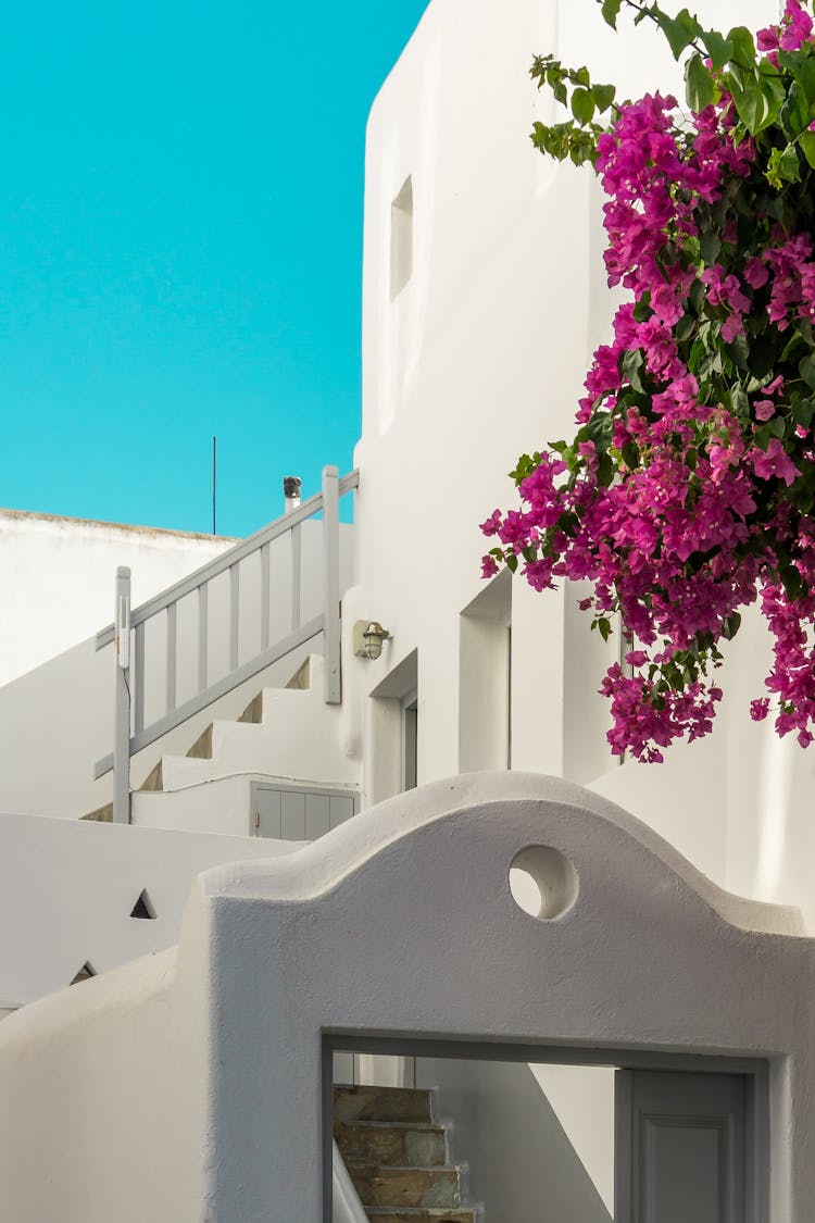 Whitewashed Building In Greece