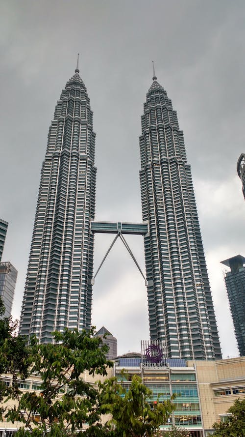 High Rise Concrete Buildings Under a Gray Sky