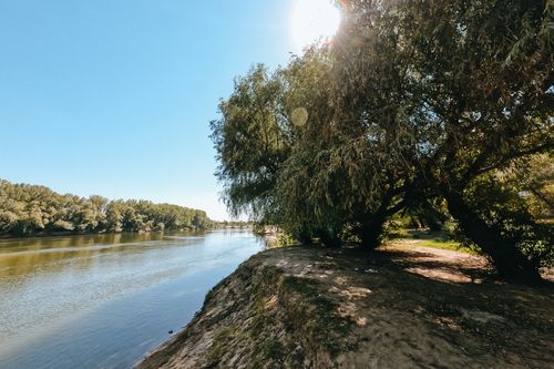Free Peaceful riverbank scene featuring lush trees, sunlight, and a calm water stream. Stock Photo