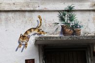 Mural over Door