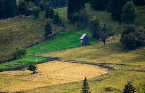 Free Explore the serene Romanian countryside with lush greenery and a rustic barn nestled among rolling hills. Stock Photo