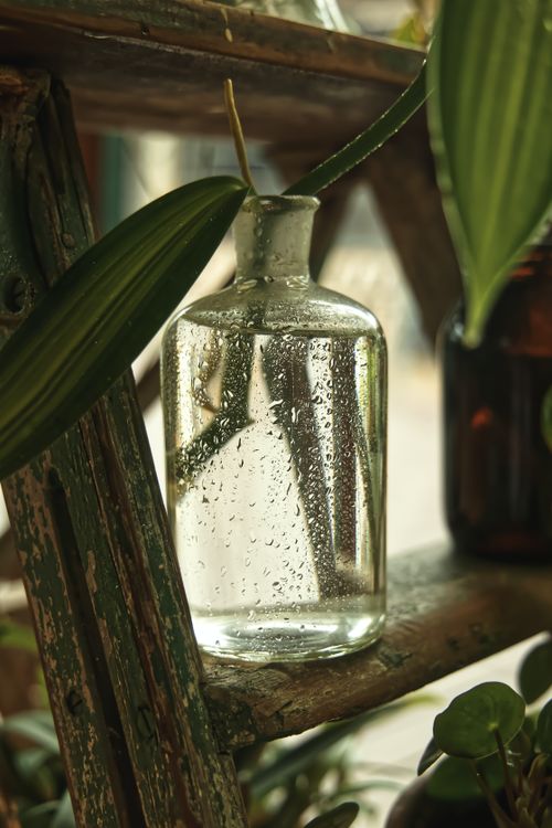 Free A glass bottle with water droplets among lush plants, captured in a rustic setting in Melbourne. Stock Photo