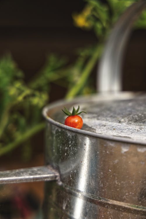 Red Tomato on a Stainless Can