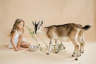 Girl in Pink Shirt Feeding Brown and White Deer