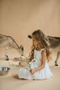 Little Girl Sitting Holding a Twig with Two Little Goats Behind Her 