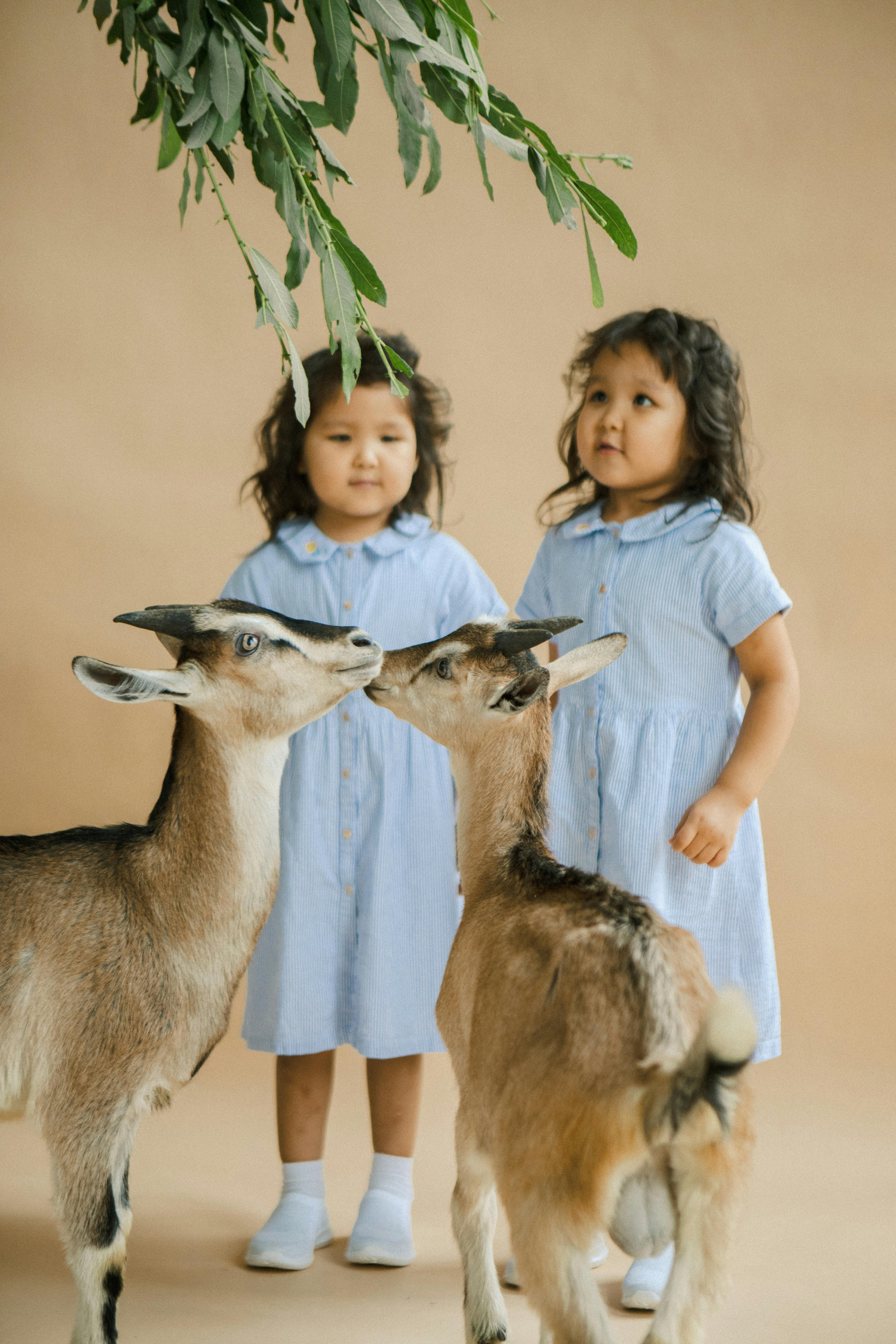 twin sisters with goats