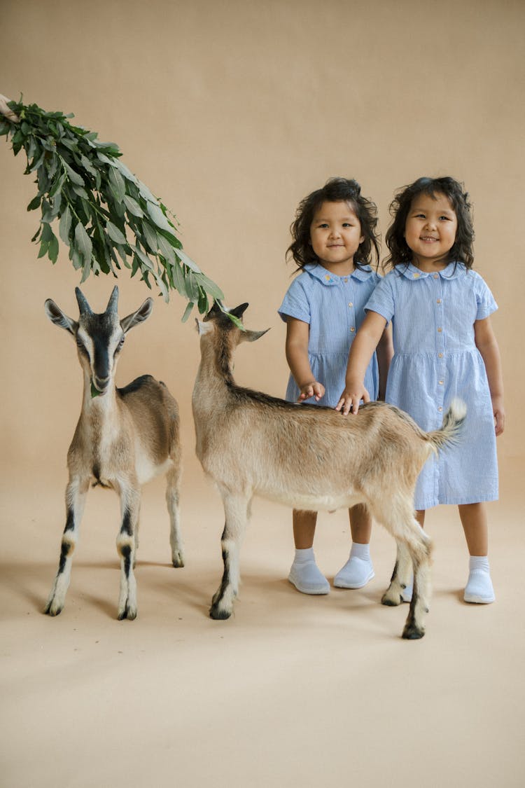 Little Twin Girls Touching A Goat 