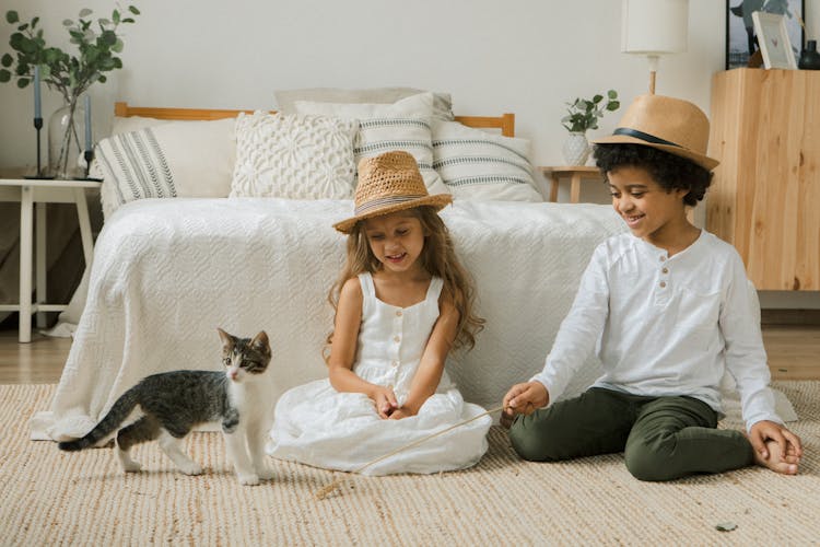 Kids Sitting On Floor In Bedroom And Playing With Cat