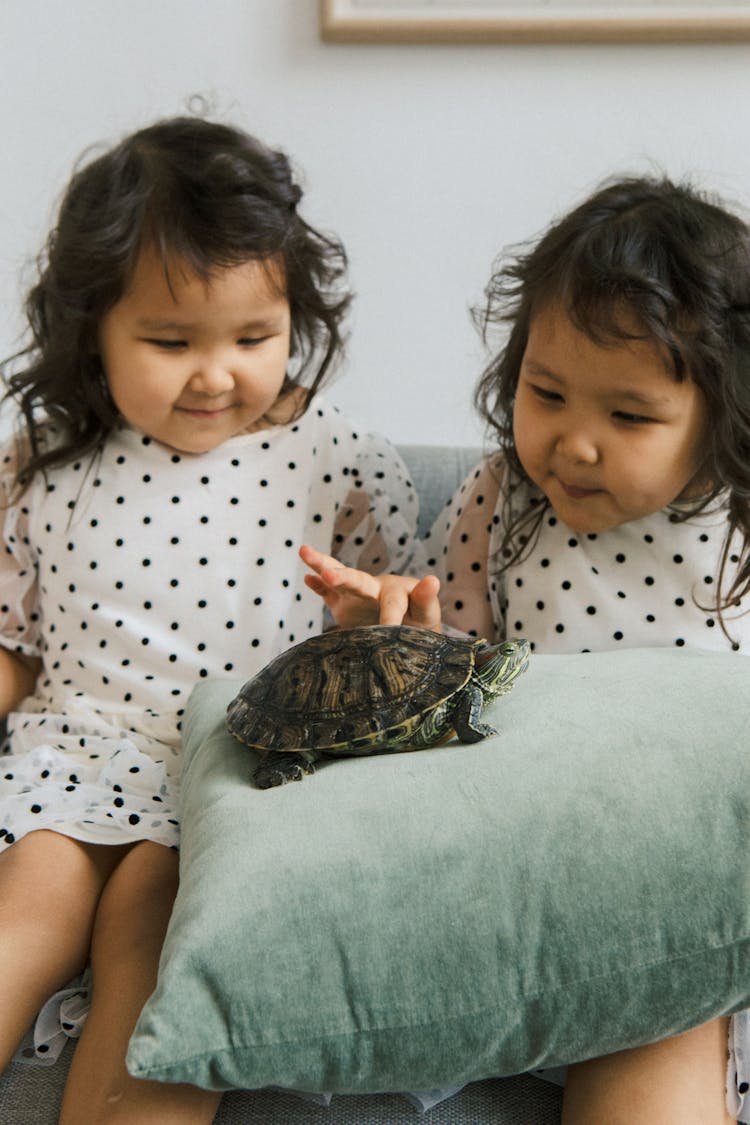 Cute Little Twin Sisters Playing With Tortoise At Home 