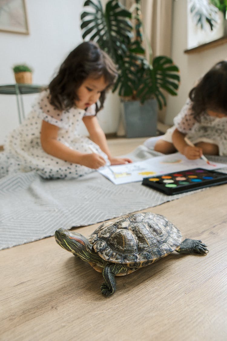 Red-eared Turtle Walking Freely In A House Next To To Little Girls Painting 