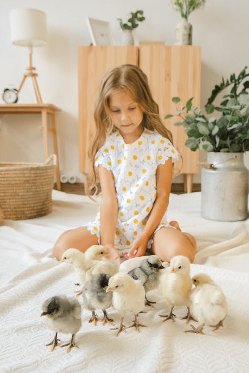 Free Girl with Chicks Stock Photo