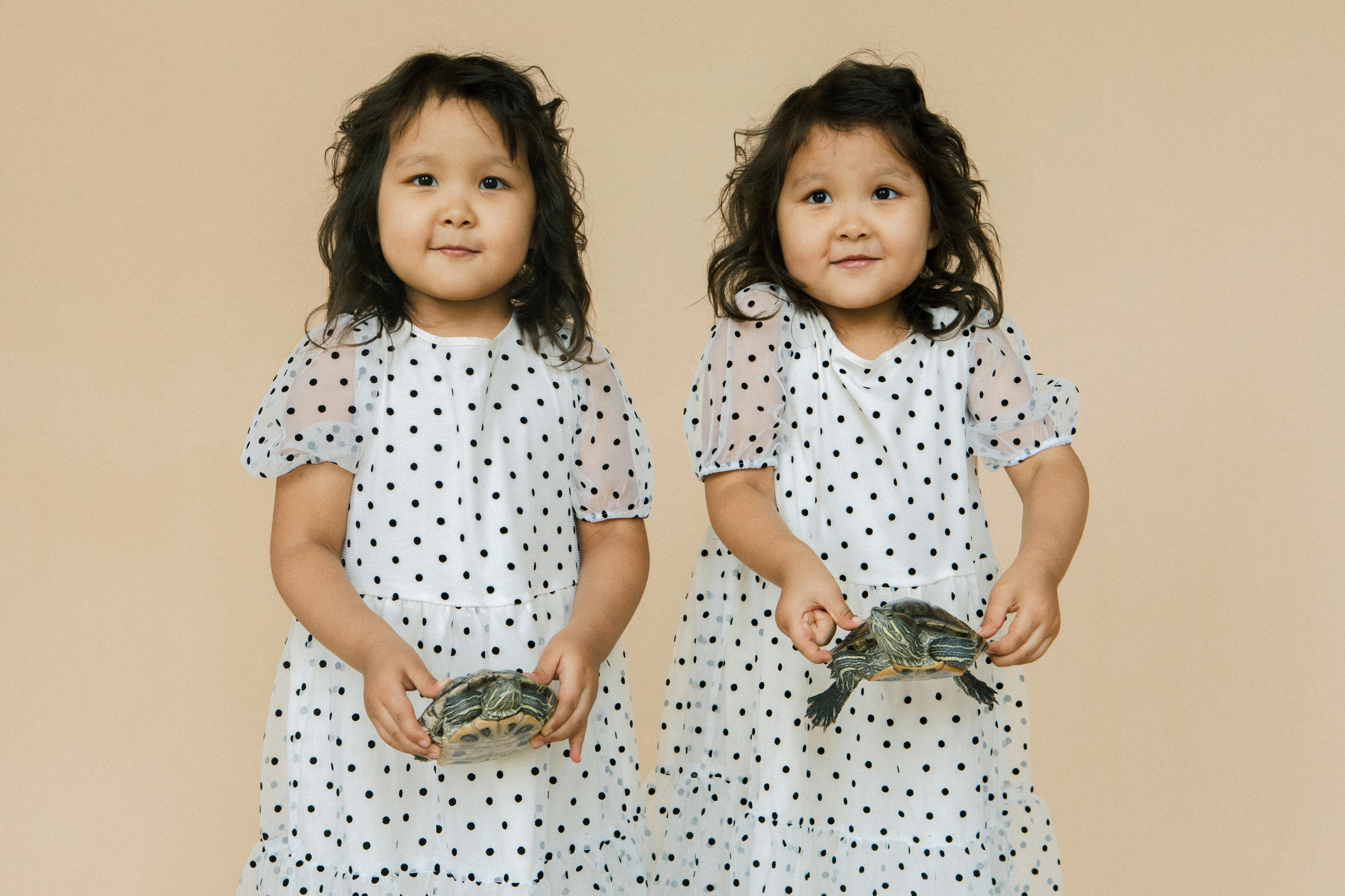 small twin girls holding turtles