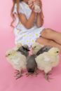 White Chick on Womans Hand