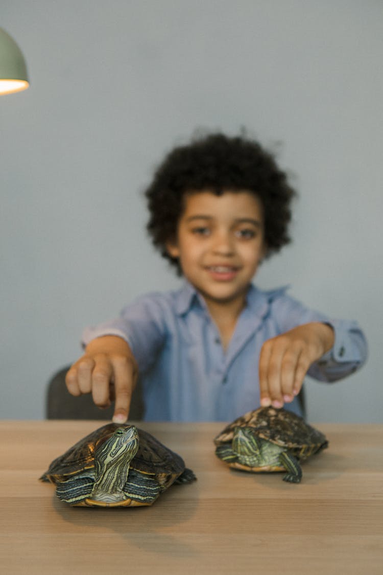 Boy With Turtles