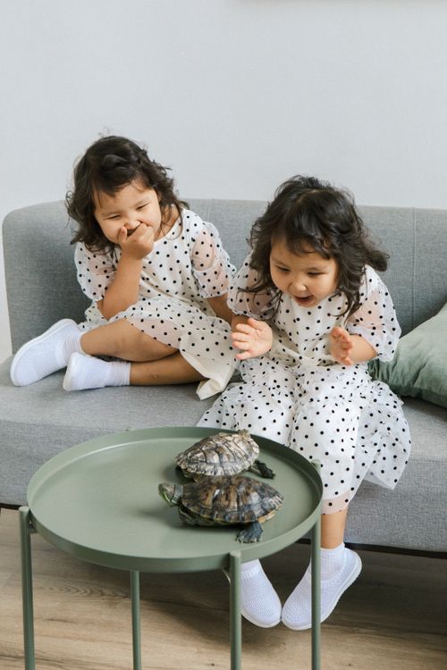 Free Two twin girls excitedly watching turtles on a sofa in a living room. Stock Photo