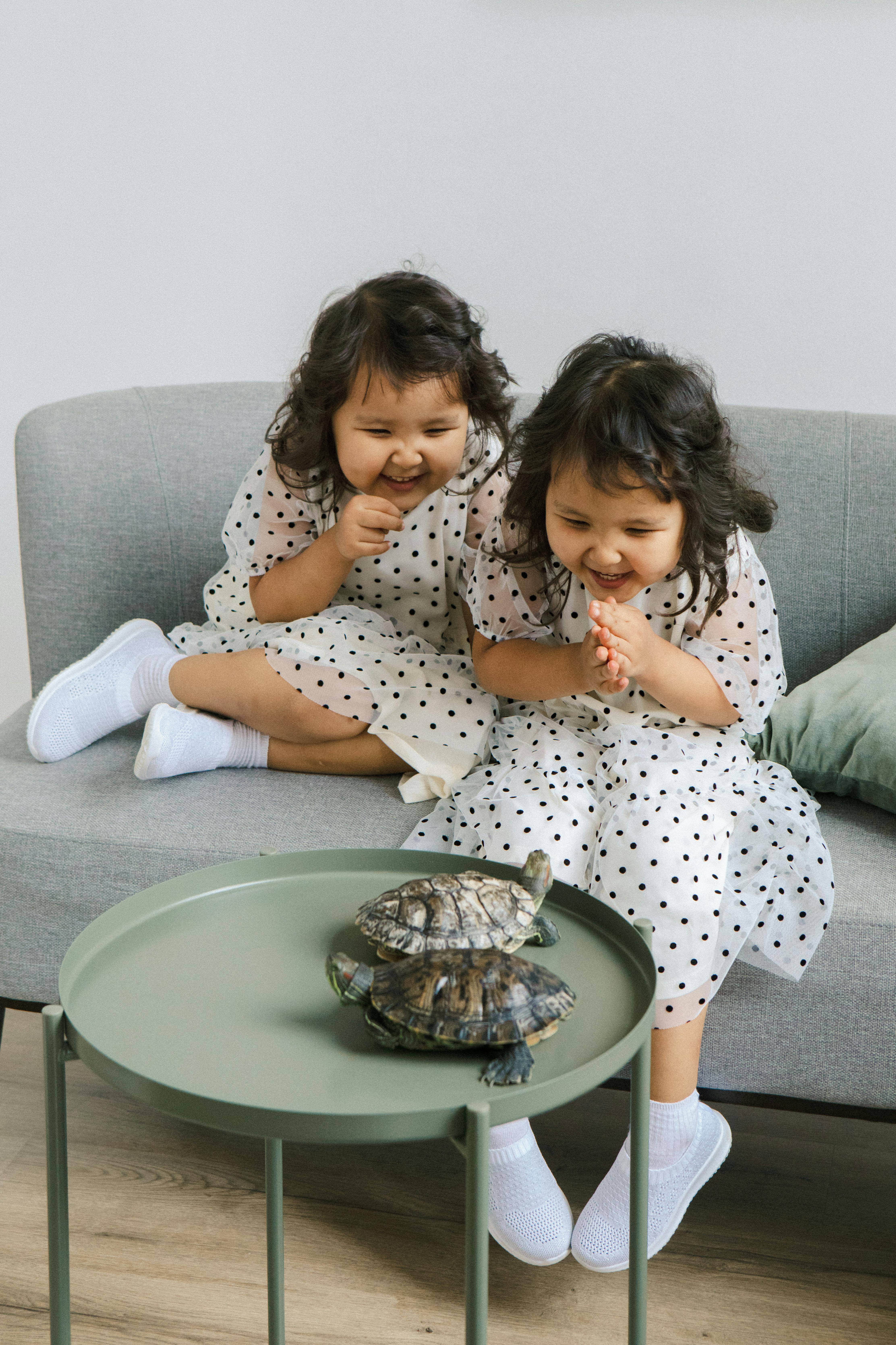 Happy Little Girls Playing with Turtles at Home