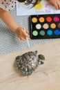 A Girl Painting and a Tortoise