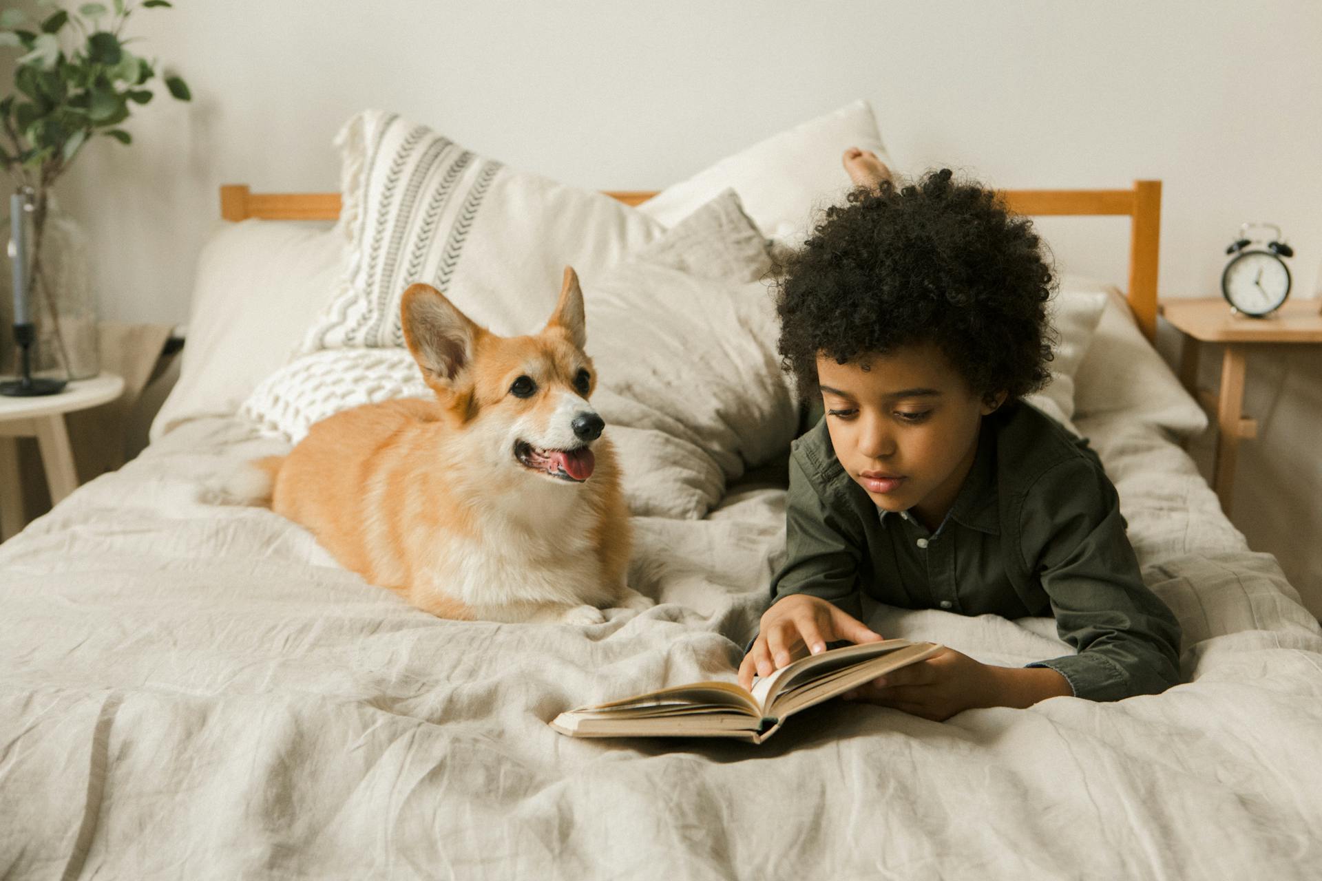 En pojke ligger i sängen med en corgihund