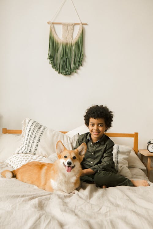 Free Foto stok gratis anak laki-laki, anjing, bersama Stock Photo