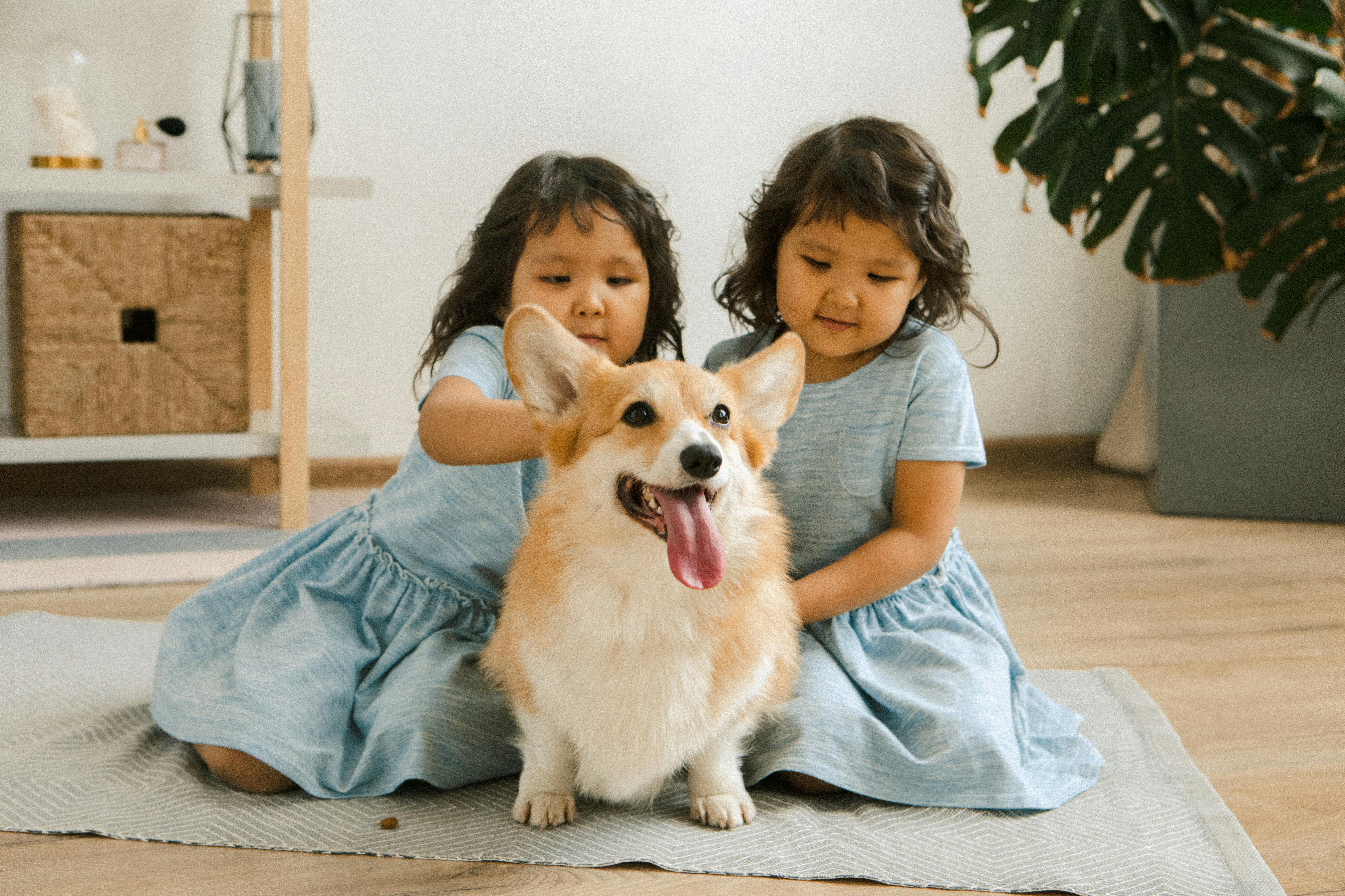 twin girls with a small dog sitting on a carpet