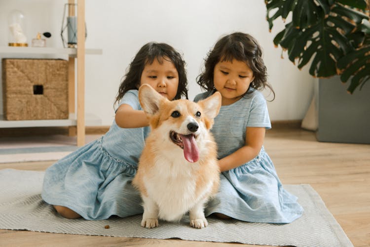 Twin Girls With A Small Dog Sitting On A Carpet