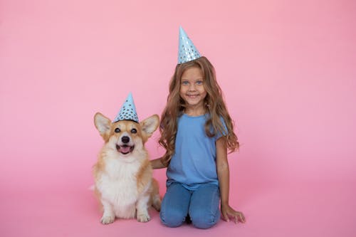 Free Little Girl and a Corgi Dog in Birthday Caps  Stock Photo