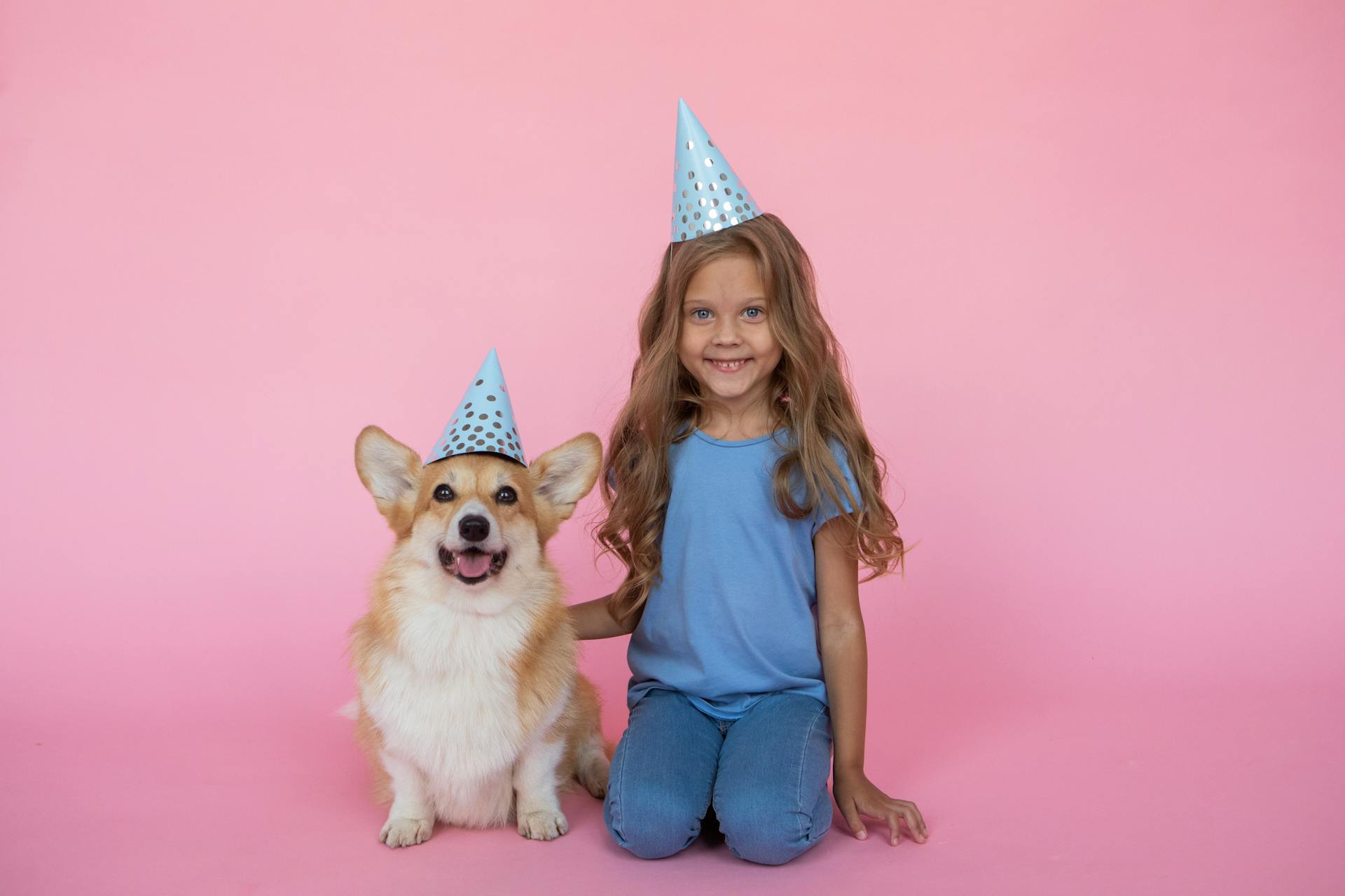 Little Girl and a Corgi Dog in Birthday Caps