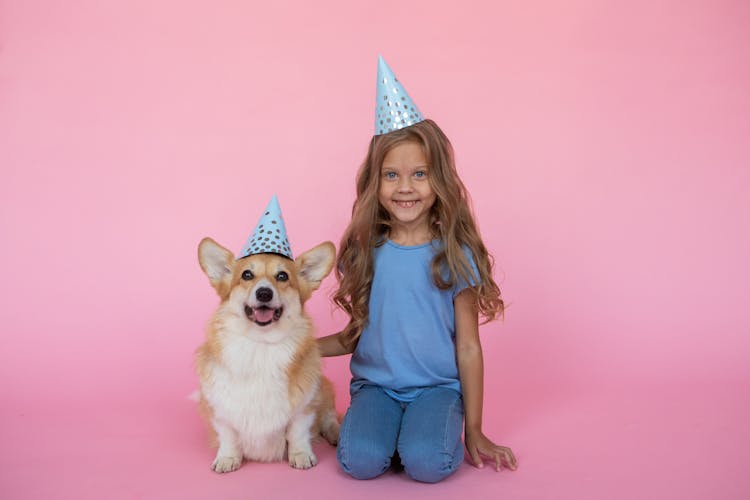 Little Girl And A Corgi Dog In Birthday Caps 