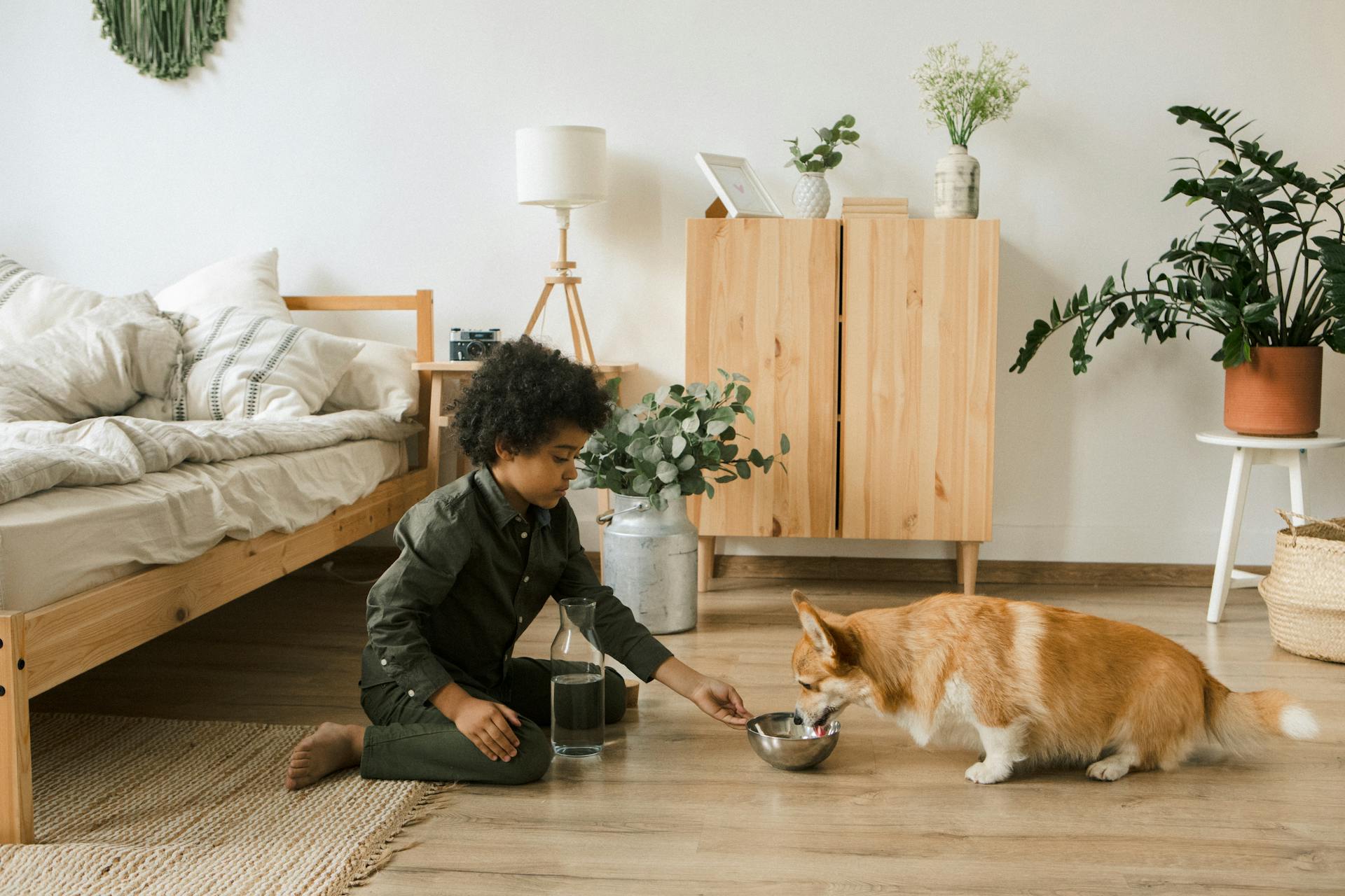 Boy Giving Water to Dog