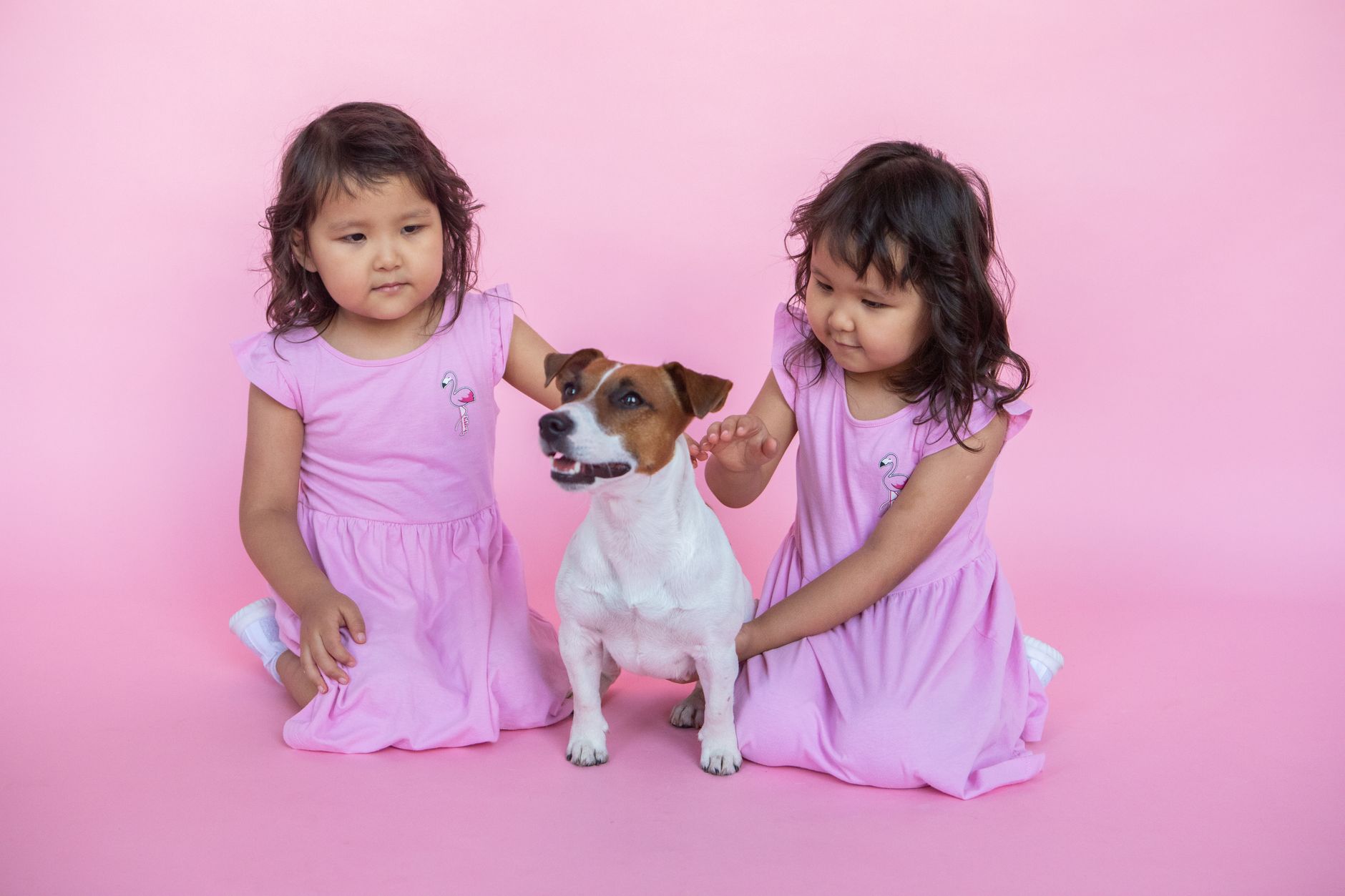 Eczema and Pets: Can Your Child Safely Have a Furry Friend?